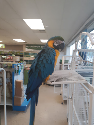 Pet Store «Exotics & Aquatics», reviews and photos, 5423 Williamson Rd, Roanoke, VA 24012, USA