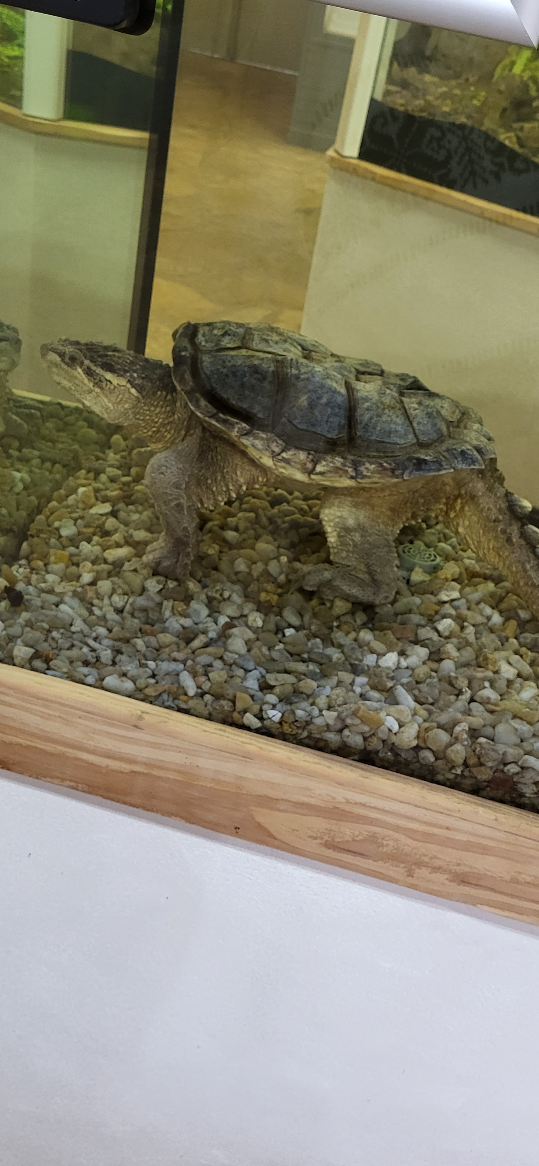 Photo n° 5 de l'avis de Marie.e fait le 18/02/2023 à 20:06