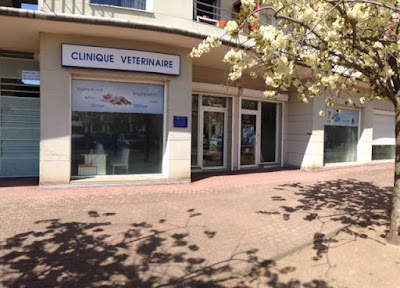 Clinique Vétérinaire Lafayette à Clermont-Ferrand