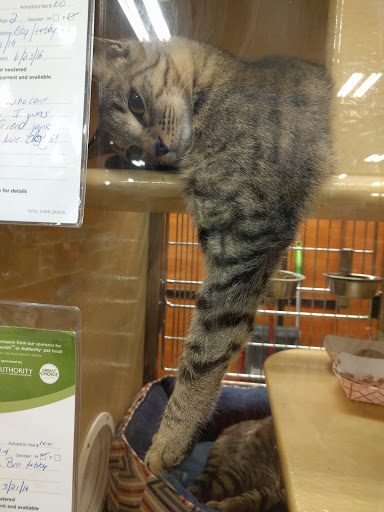 Pet Supply Store «PetSmart», reviews and photos, 300 NJ-18, East Brunswick, NJ 08816, USA