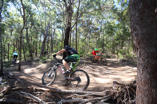 Sugar Bag Road Mountain Bike Trails