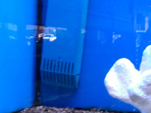 Pet Store «Wet Pets N Critters», reviews and photos, 103 TX-281 Loop, Longview, TX 75605, USA