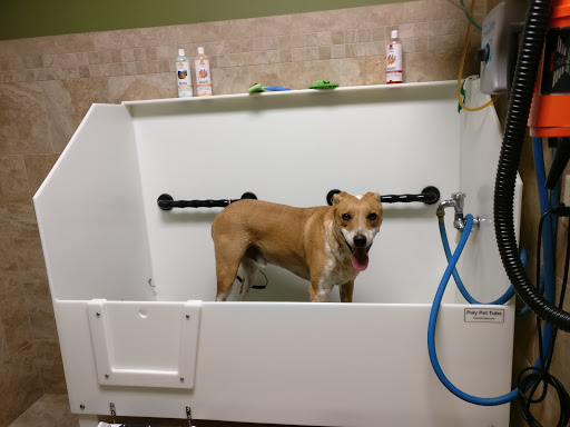 Pet Supply Store «EarthWise Pet Supply - Richardson», reviews and photos, 1310 W Campbell Rd #128, Richardson, TX 75080, USA