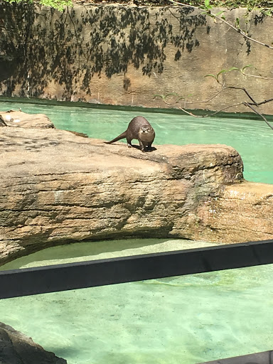 Zoo «John Ball Zoo», reviews and photos, 1300 West Fulton Street, Grand Rapids, MI 49504, USA