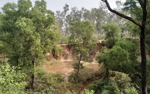 Sonajhuri Forest image