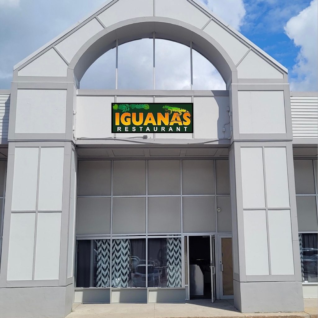 Iguana's Restaurant and Bar 03103