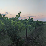 Photo n°2 de l'avis de Marco.a fait le 24/06/2020 à 21:34 sur le  SPIRITO Restaurant & Much More à Vigarano Mainarda