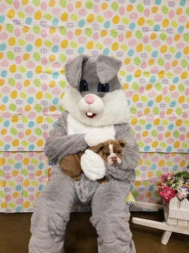 Pet Supply Store «PetSmart», reviews and photos, 2940 Chapel Hill Rd, Douglasville, GA 30135, USA