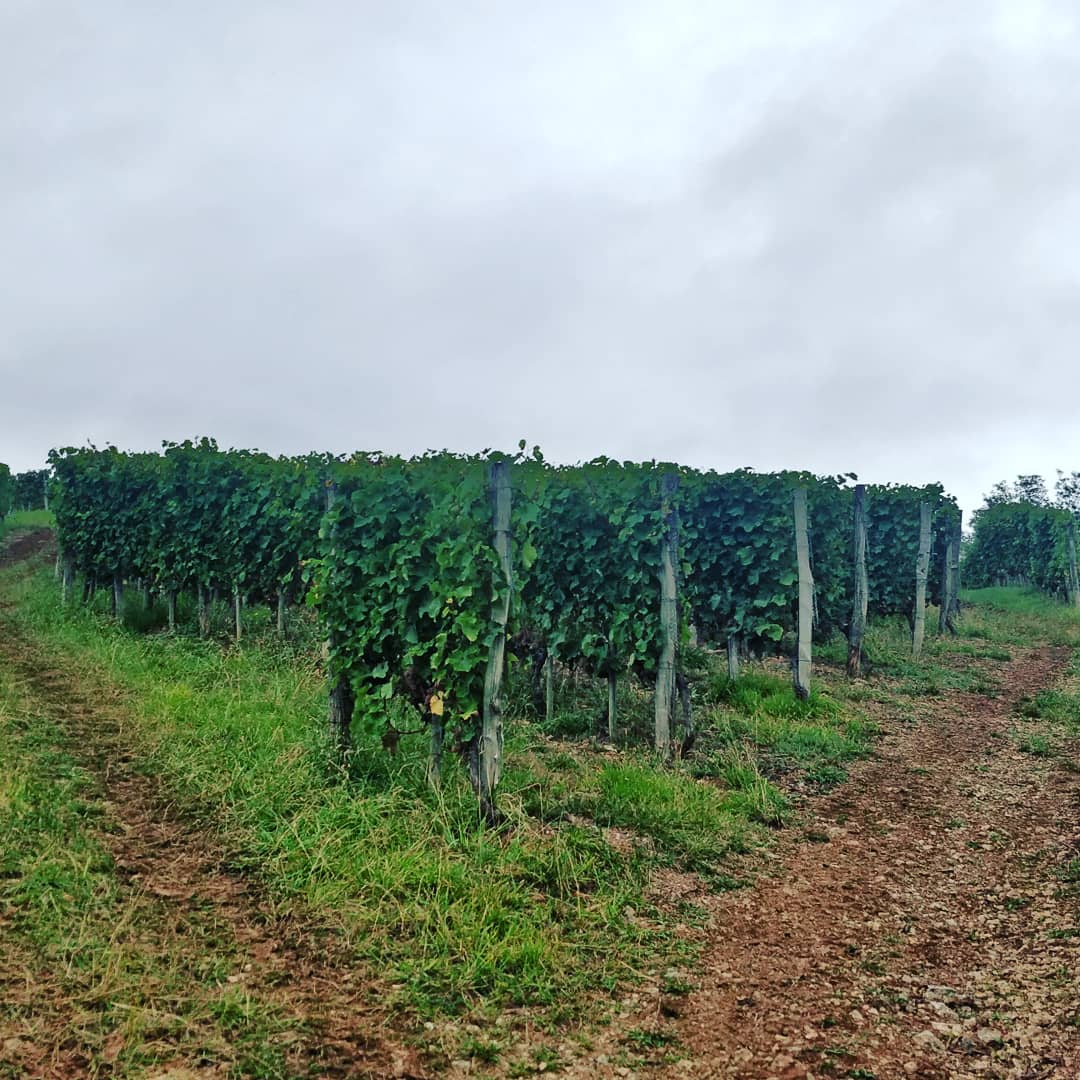 Photo n° 2 de l'avis de Fabien.e fait le 04/10/2019 à 17:09