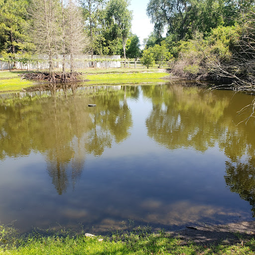 Winery «Keel and Curley Winery», reviews and photos, 5210 Thonotosassa Rd, Plant City, FL 33565, USA