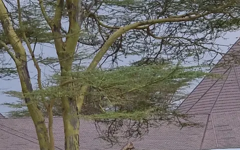 Lake Naivasha Resort image