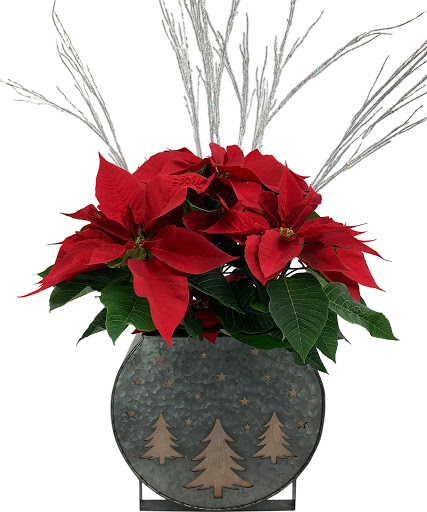 Florist «Adrian Durban Florist», reviews and photos, 3401 Clifton Ave, Cincinnati, OH 45220, USA