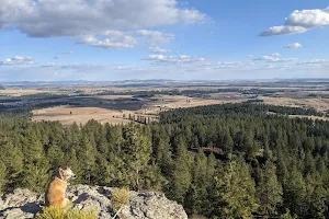 Iller Creek Conservation Area image