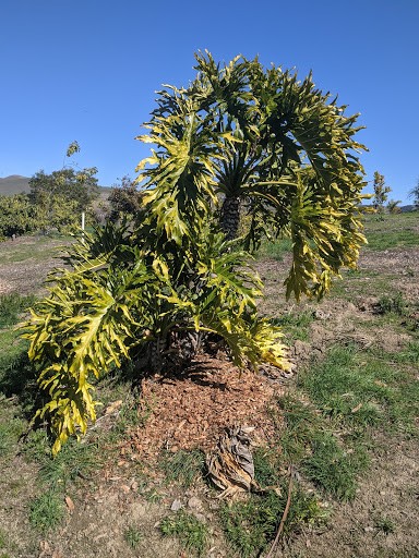 Park «Alameda Creek Regional Trail», reviews and photos, Alameda Creek Trail, Fremont, CA 94536, USA