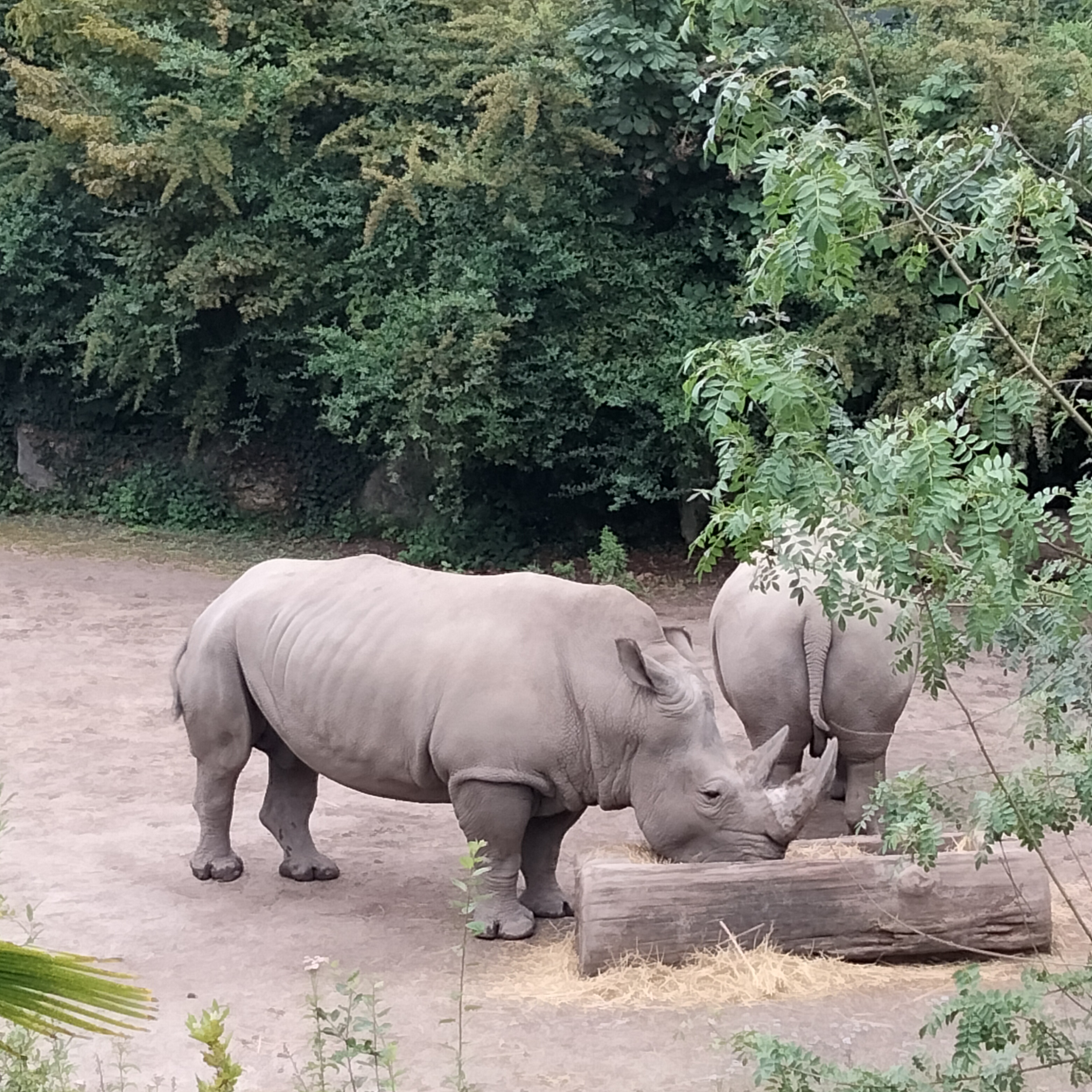 Photo n° 5 de l'avis de Patricia.i fait le 31/07/2023 à 13:25