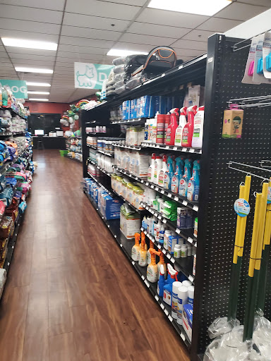 Pet Store «Petland Kennesaw», reviews and photos, 840 Ernest W Barrett Pkwy NW #494, Kennesaw, GA 30144, USA