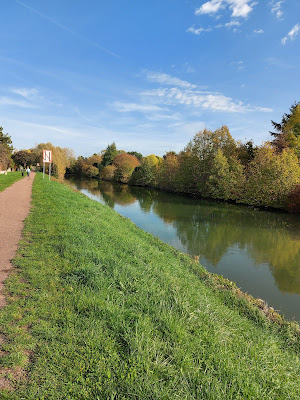 Forêt Régionale du Domaine de la Cour Roland à Jouy-en-Josas