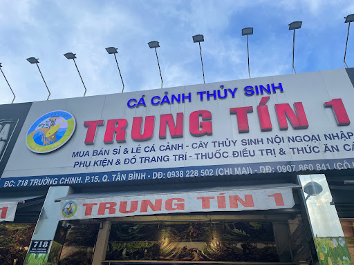 Top 20 cửa hàng thủy sinh Quận Tân Phú Hồ Chí Minh 2022