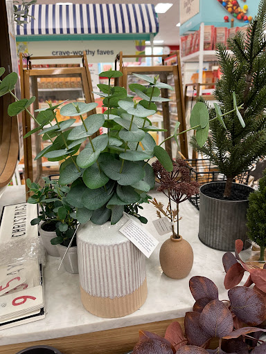 Department Store «Target», reviews and photos, 1075 Kennedy Rd, Windsor, CT 06095, USA