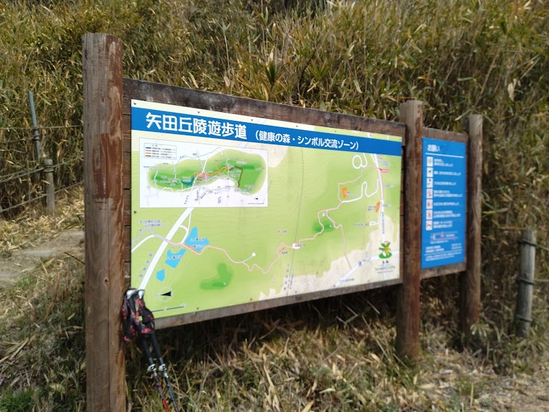 矢田丘陵遊歩道（健康の森）