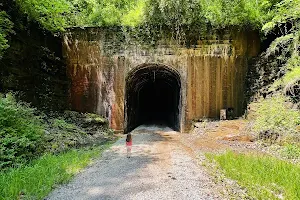 Silver Run Tunnel #19 image