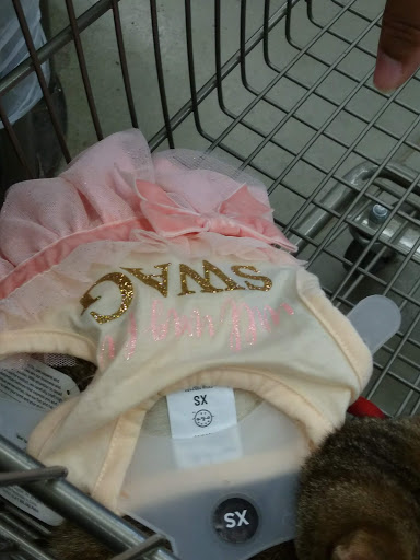 Pet Supply Store «Petco Animal Supplies», reviews and photos, 6720 Fox Centre Pkwy, Gloucester Courthouse, VA 23061, USA