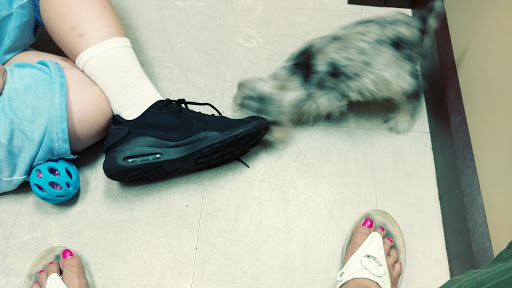 Pet Store «Petland», reviews and photos, 920 Hebron Rd, Heath, OH 43056, USA