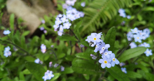 Park «Rocky Butte Park», reviews and photos, NE Rocky Butte Rd, Portland, OR 97220, USA