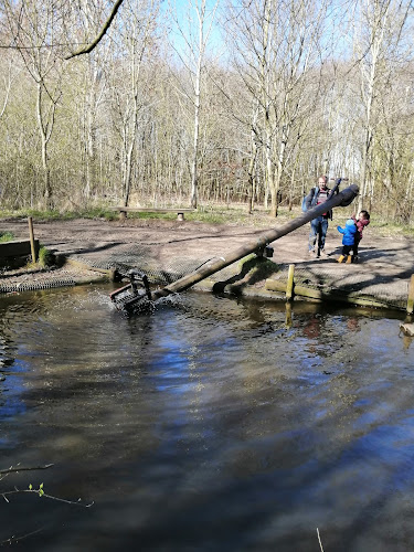Reviews of Manley Mere - Sail Sports and Adventure Trail in Warrington - Sports Complex