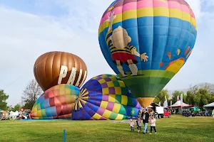 Temecula Valley Balloon & Wine Festival image