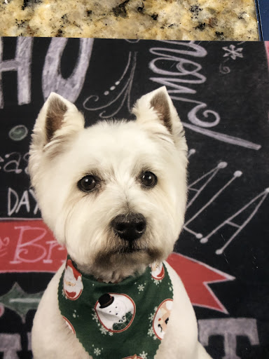 Pet Supply Store «PetSmart», reviews and photos, 4900 Rogers Ave #102a, Fort Smith, AR 72903, USA