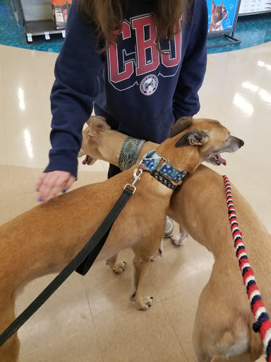 Pet Supply Store «Petco Animal Supplies», reviews and photos, 20980 Westgate Mall, Fairview Park, OH 44126, USA