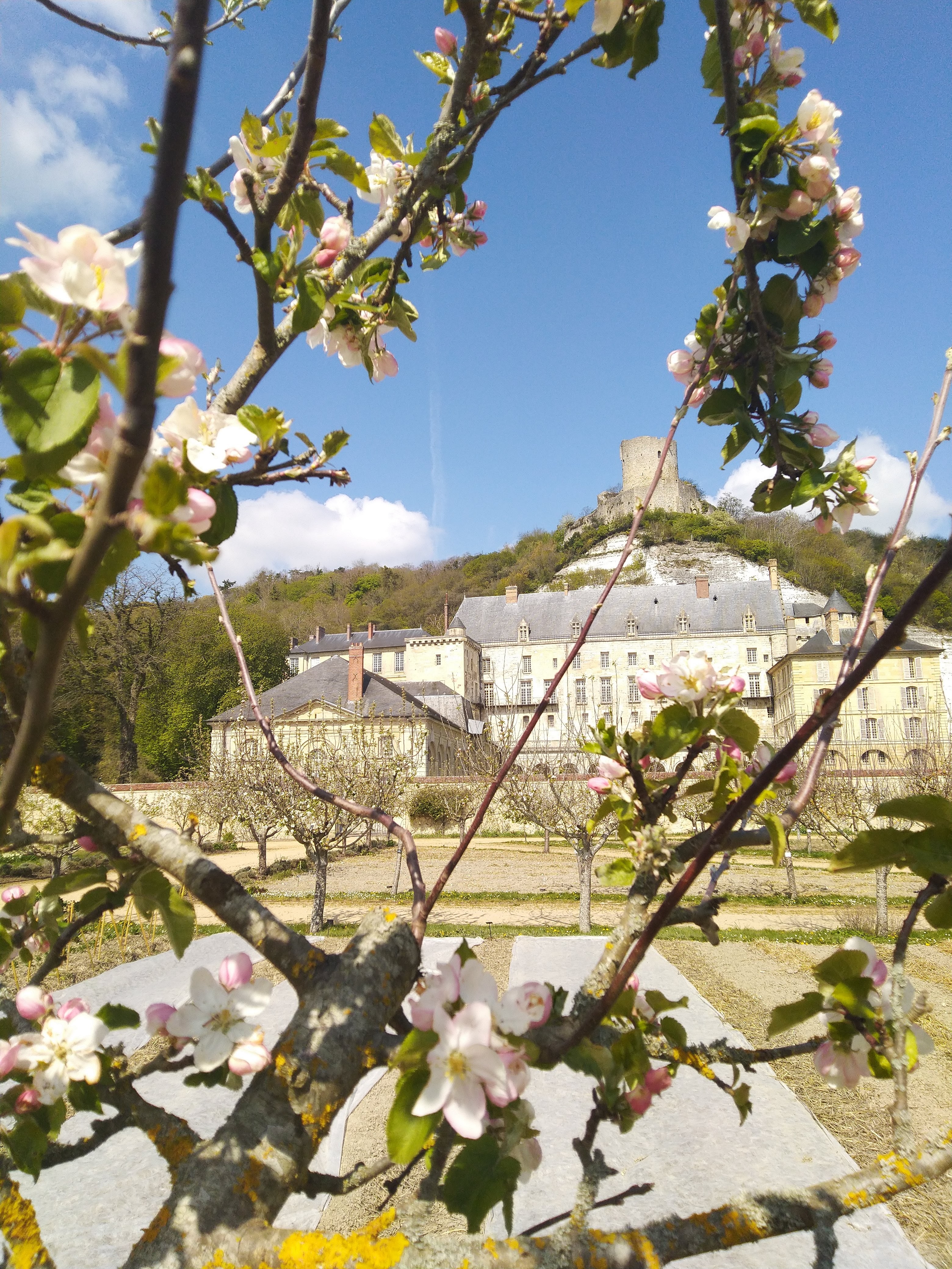 Photo n° 3 de l'avis de Cyril.o fait le 15/04/2019 à 05:56