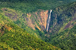 Thalaiyar Waterfalls image