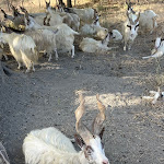 Photo n°13 de l'avis de Louison.e fait le 15/07/2023 à 14:29 sur le  Baglio San Pietro à Nicosia