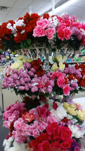 Dollar Store «Dollar Tree», reviews and photos, 3715 Mundy Mill Rd d, Oakwood, GA 30566, USA