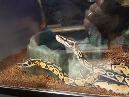 Pet Supply Store «Petco Animal Supplies», reviews and photos, 187 Stonebrook Pl, Jackson, TN 38305, USA