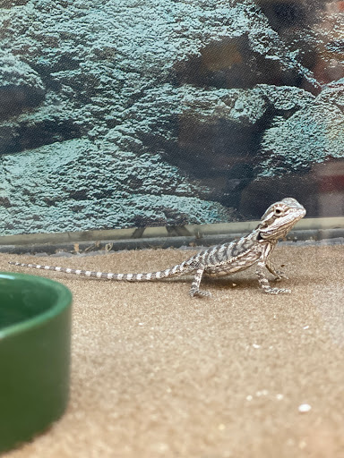 Pet Supply Store «Petco Animal Supplies», reviews and photos, 1 US-46, Totowa, NJ 07512, USA