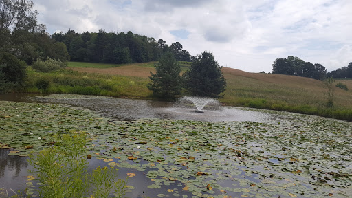 Winery «Christian W Klay Winery», reviews and photos, 412 Fayette Springs Rd, Chalkhill, PA 15421, USA