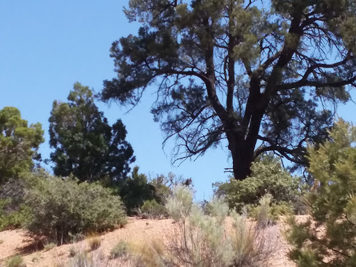 Hiking Area «Monolith Garden Trail», reviews and photos, Metwell Dr, Kingman, AZ 86401, USA