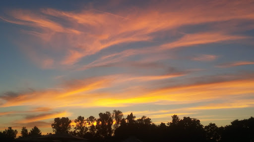 Pizza Restaurant «Roaring Rapids Pizza Company», reviews and photos, 4006 Franklin Blvd, Eugene, OR 97403, USA