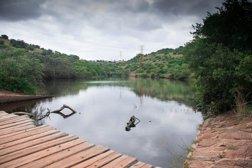 Kloofendal Municipal Nature Reserve