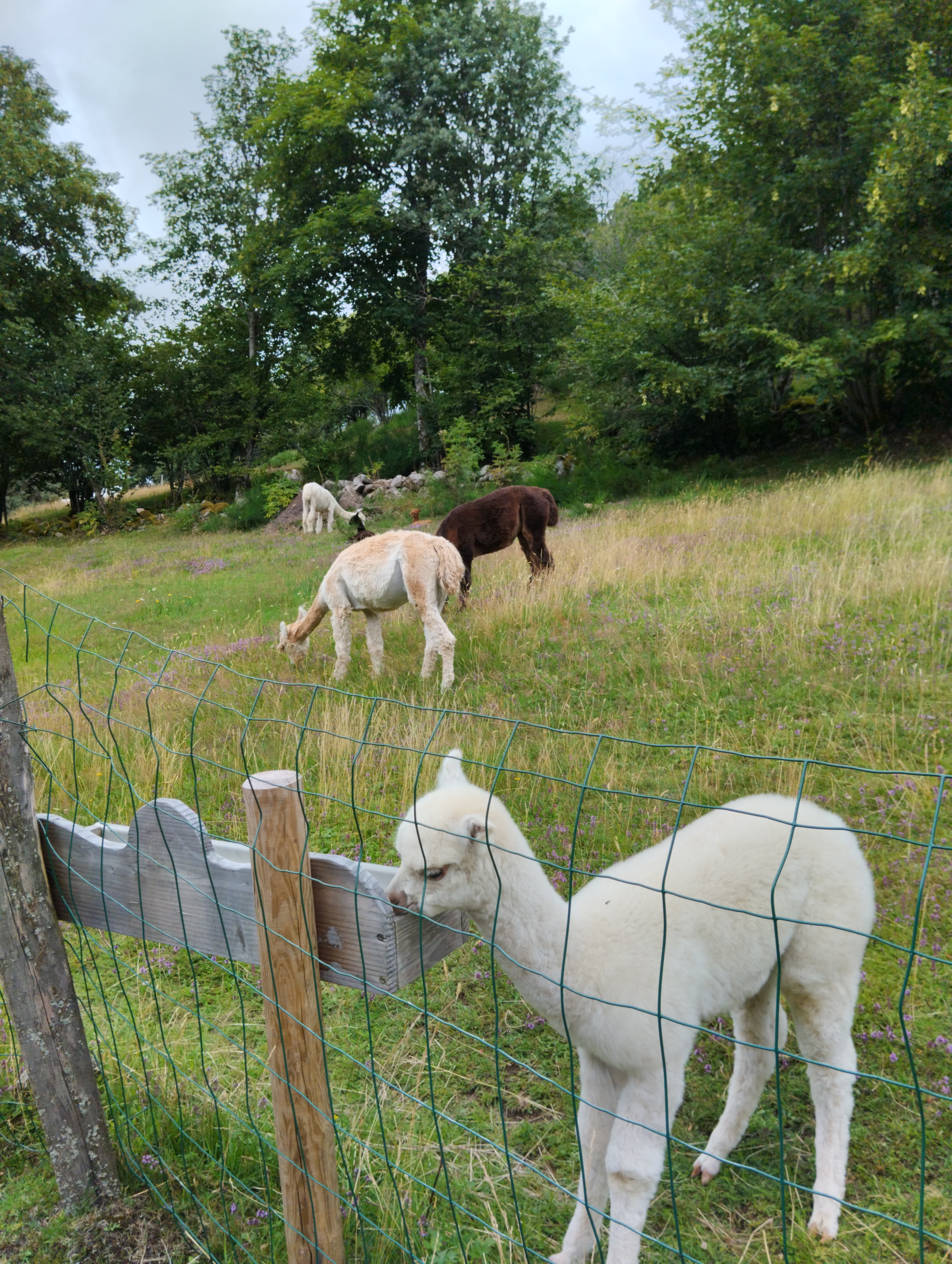 Photo n° 4 de l'avis de isabelle.a fait le 29/07/2023 à 11:22