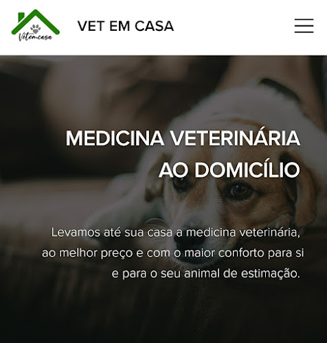 Veterinário ao domicílio - VETEMCASA - Veterinário