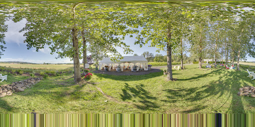 Vineyard «Keeler Estate Vineyard», reviews and photos, 5100 SE Rice Ln, Amity, OR 97101, USA