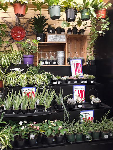 Supermarket «Rosauers Supermarkets», reviews and photos, 907 W 14th Ave, Spokane, WA 99204, USA