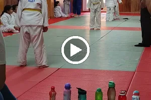 Club Judo Pineda de Mar image