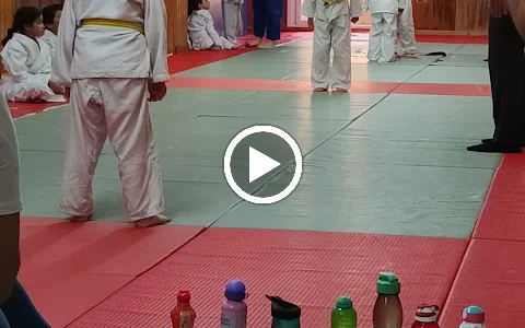 Club Judo Pineda de Mar image
