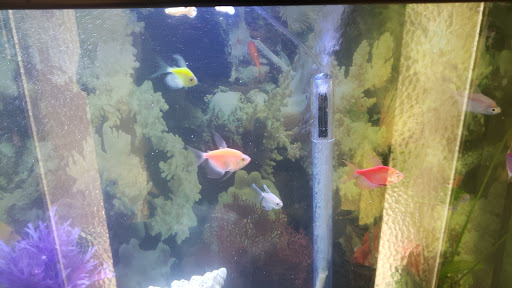 Pet Supply Store «Petco Animal Supplies», reviews and photos, 129 Mall Way, Marysville, WA 98270, USA