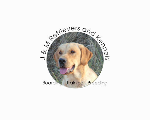 J & M Retrievers and Kennels
